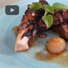 Octopus Stifado