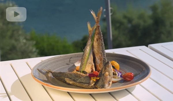 Makrelen mit glykadia (Essig) und Muskatwein aus Samos