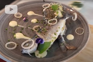 Saddled Seabream with Tziladia Sauce